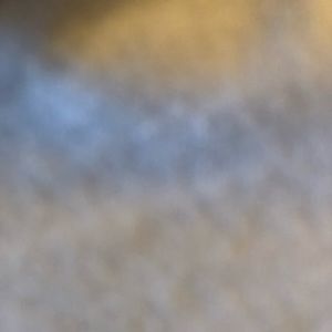 Meet your Posher, Jamal